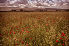 2019_05_17-25_Italien_IMG_20190520_1134390.jpg